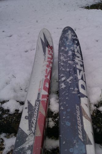 Skis Epoch Eon - Madshus