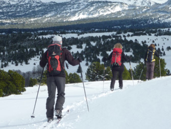 Ski de randonnée nordique Vercors