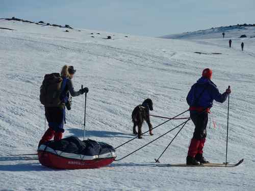 Randonneurs en ski pulka