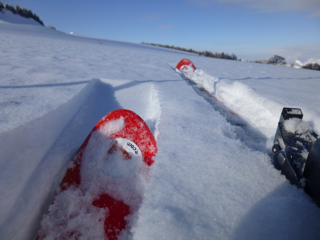 Skis de randonnée nordique