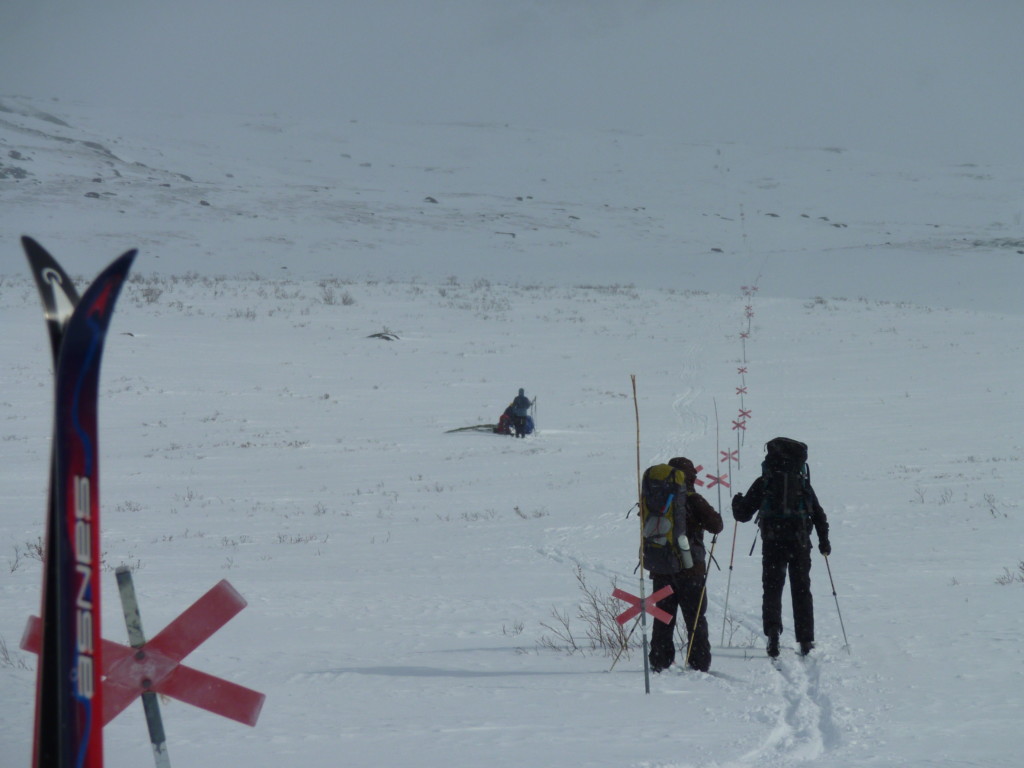 Skieur de randonnée nordique en Suède