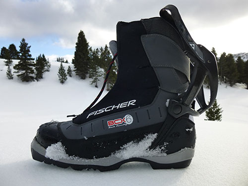 Chaussures de rando nordique BCX6 de Fischer