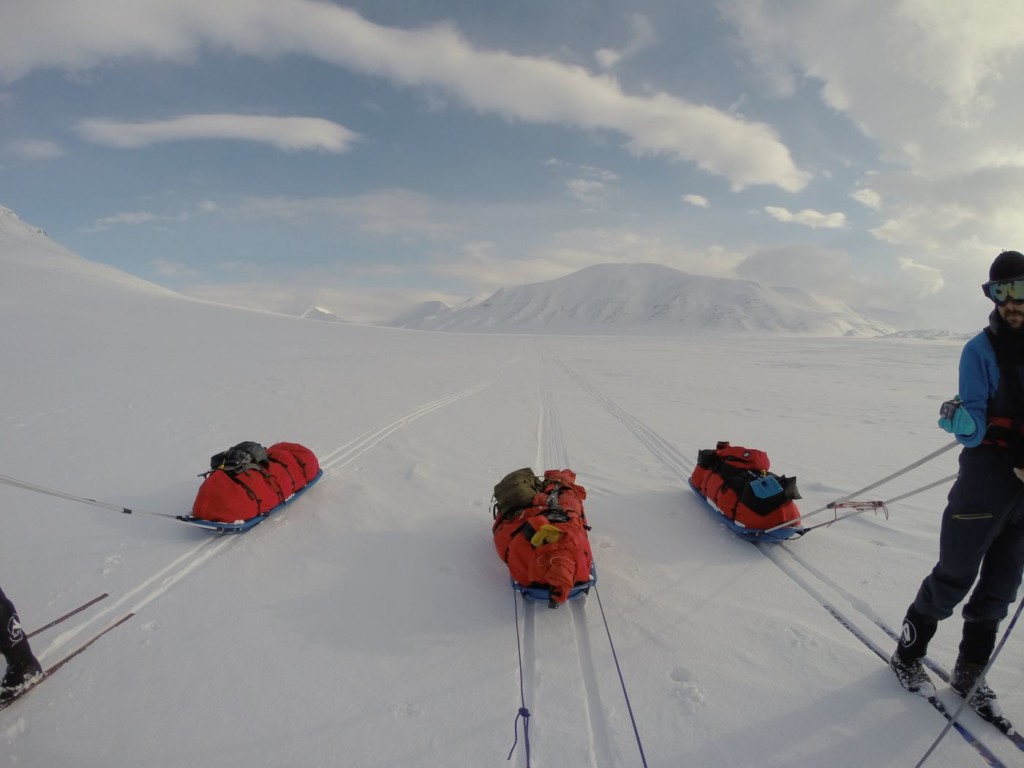 Les pulkas Snowsled au Spitzberg