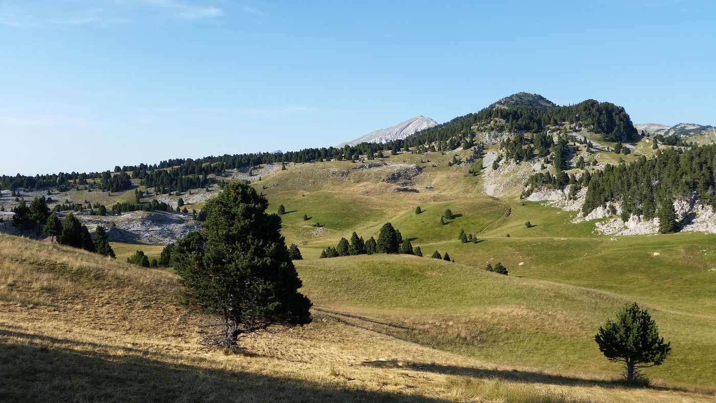 Au fond, le sommet du Grand Veymont