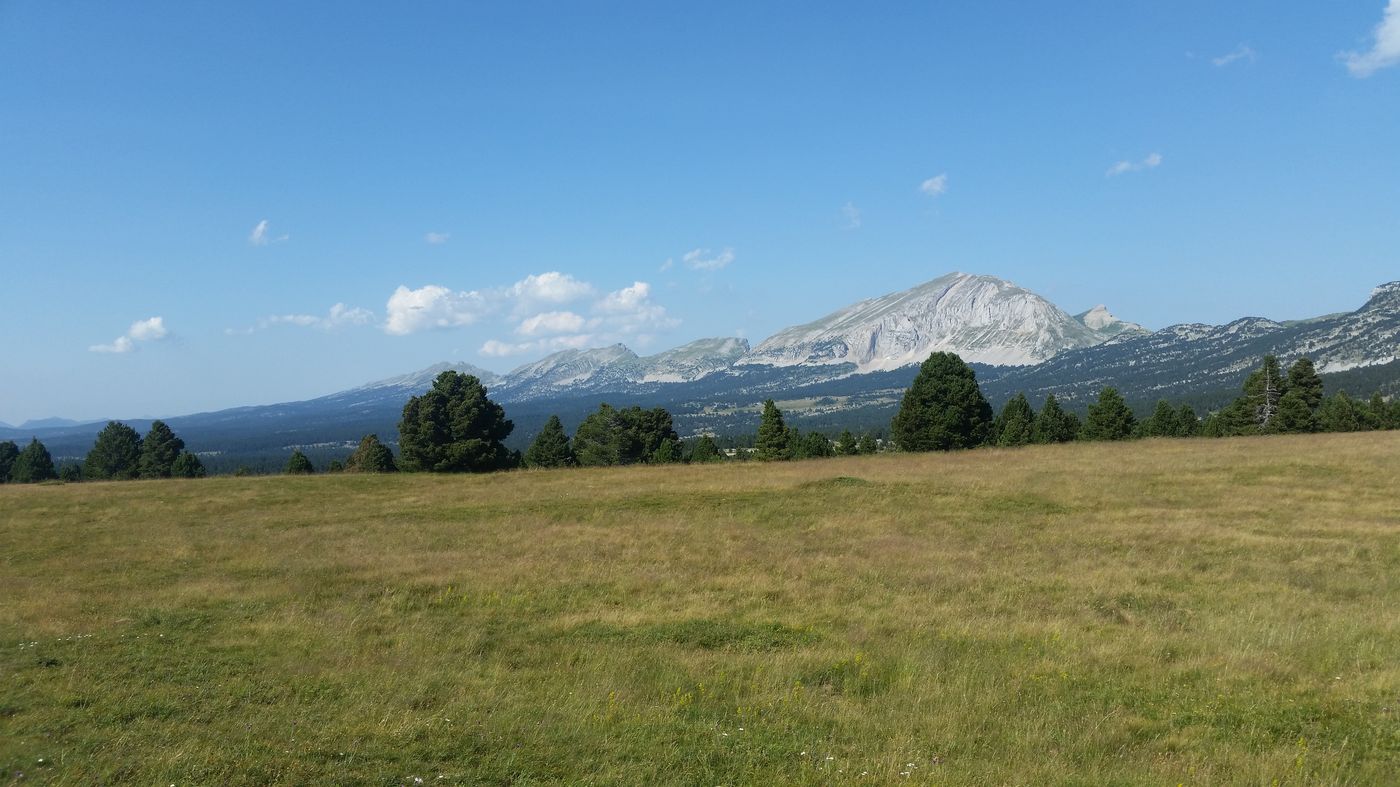 Le Grand Veymont (2341 m)