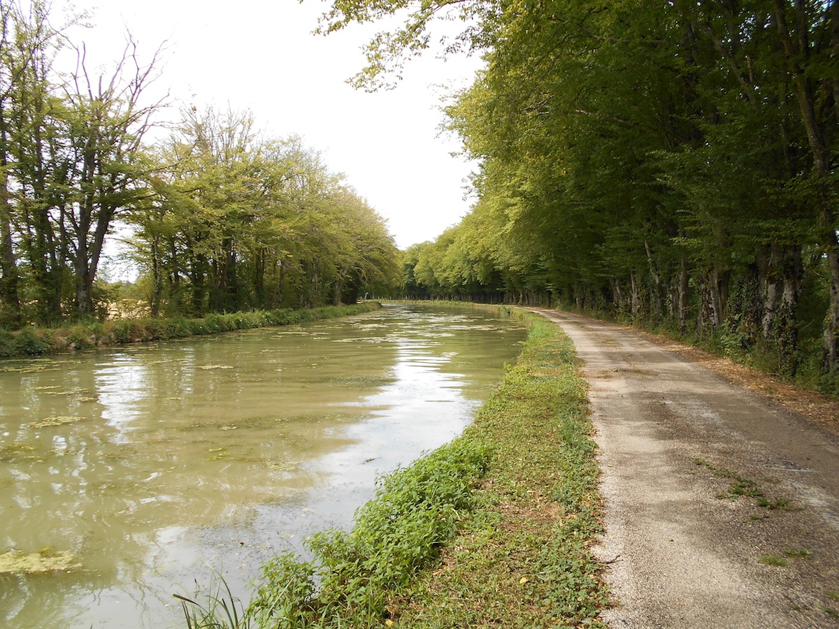 Chemin de halage du Canal de la Saône à la Marne