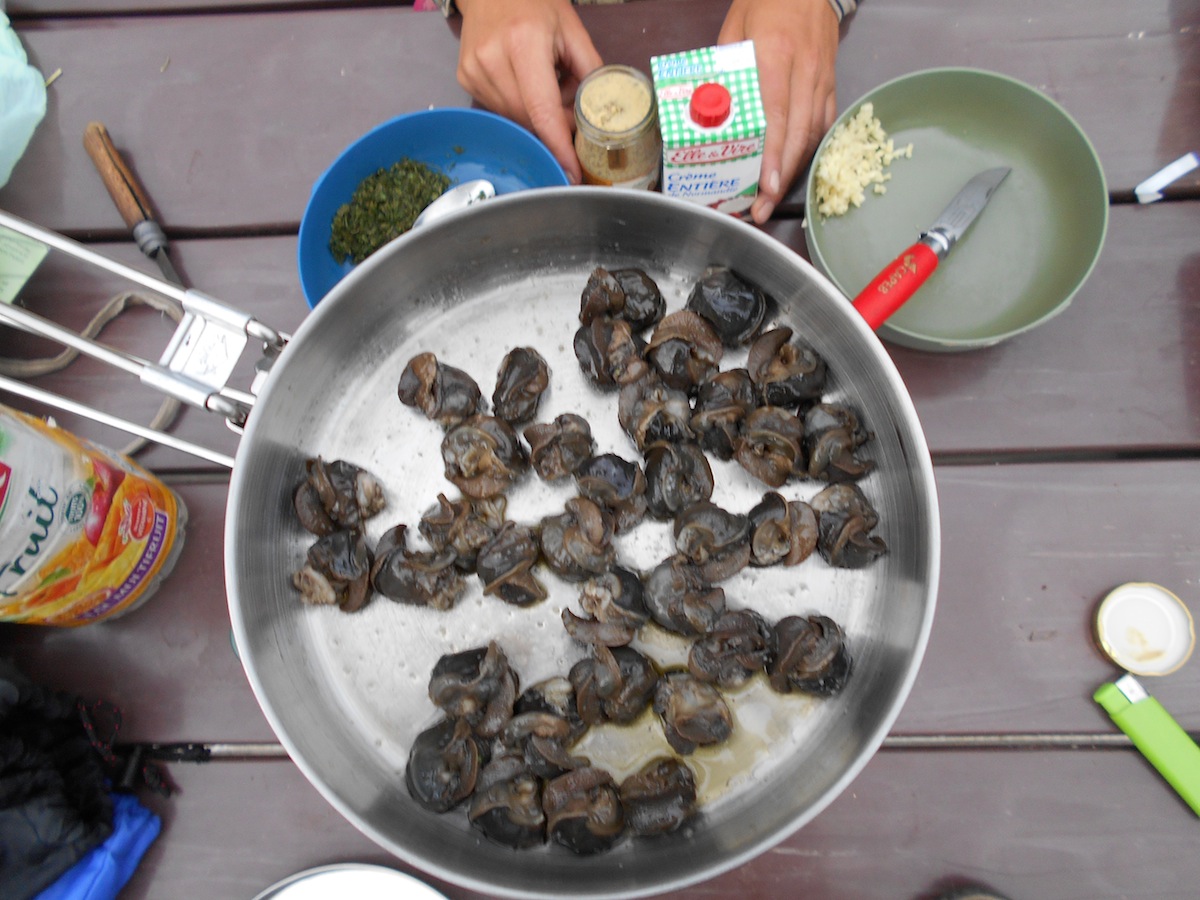 Une cassolette d'escargots en préparation : qui dit mieux ?