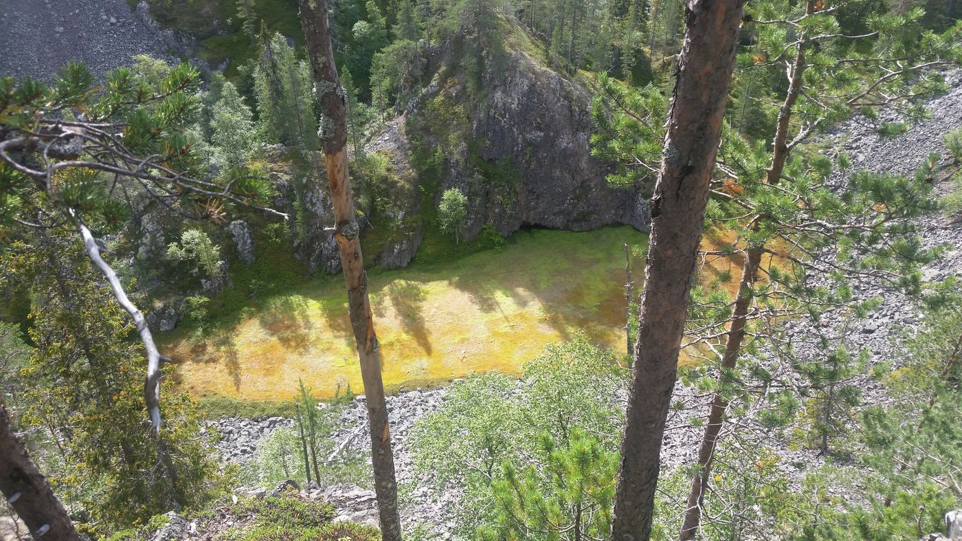 Marais dans le parc de Pihä-Luosto