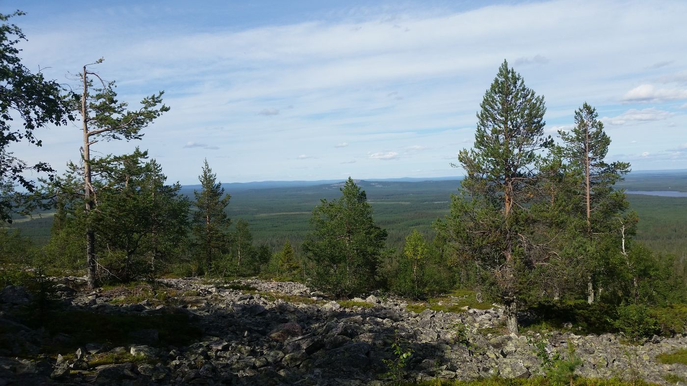 Randonnée dans le parc de Pihä-Luonto