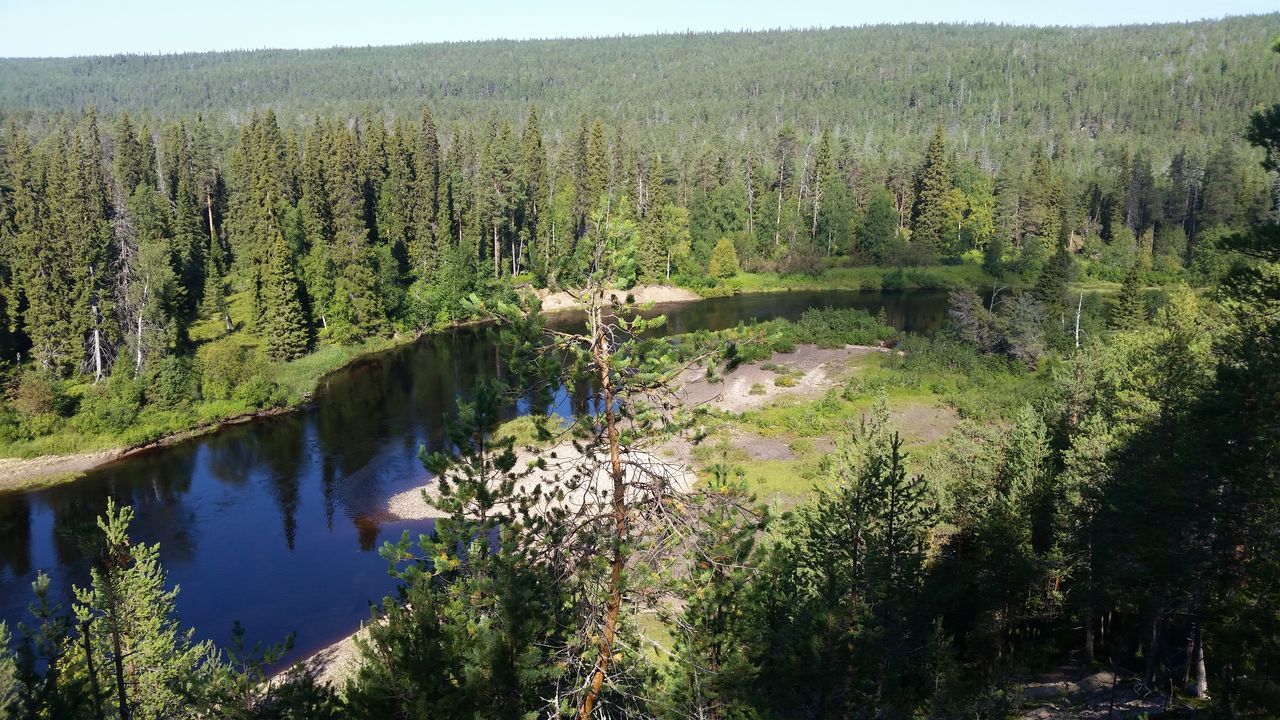 Les méandres de l'Oulankajoki