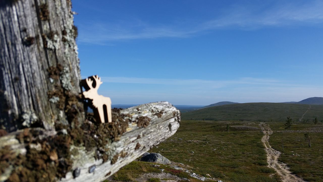 Balisage sur sentier de grande randonnée Hetta-Pallas (Laponie)