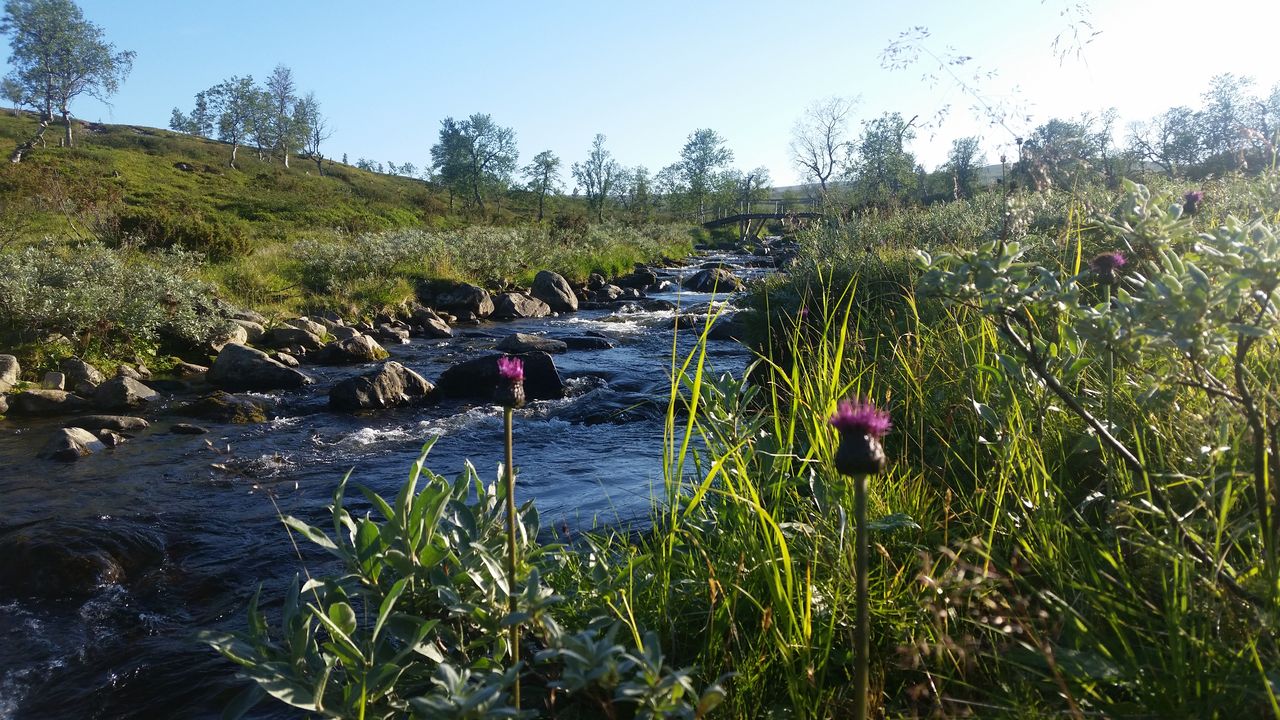 Boire de l'eau en randonnée : à faire bouillir ou à traiter