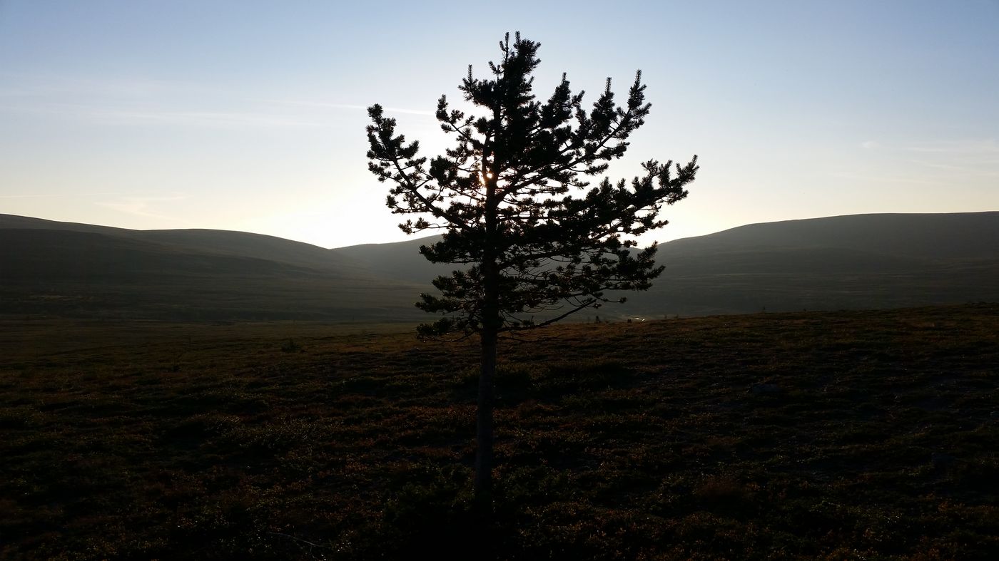 Fin de journée sur les hauteurs de Sioskuru