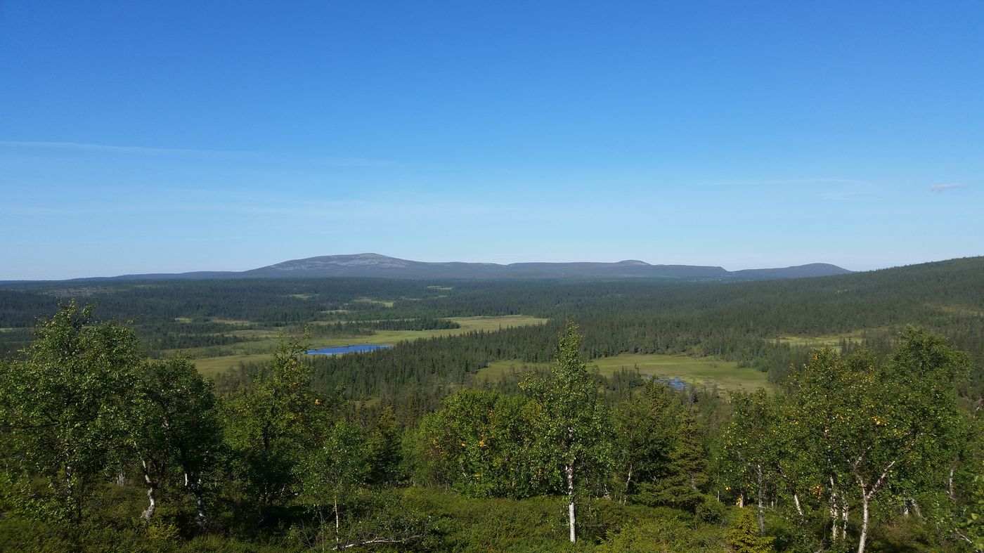 Vue panoramique sur le sentier d'Hetta-Pallas