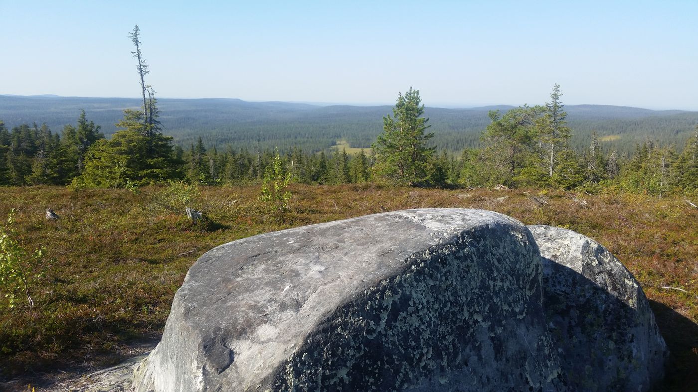 Vue sur le parc national du Riisintunturi