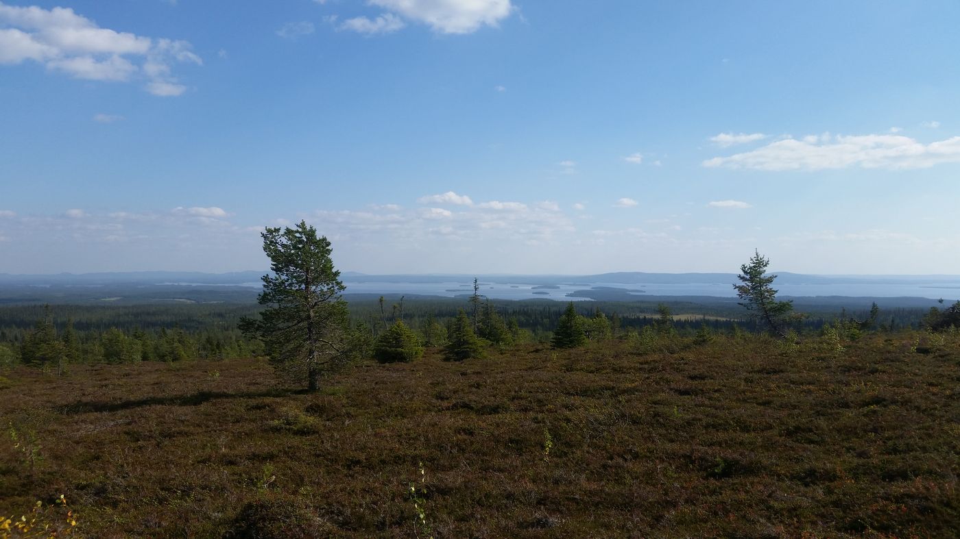 Vue panoramique sur le lac Kitka