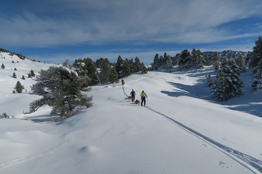 Tractage de pulka sur les Hauts Plateaux du Vercors