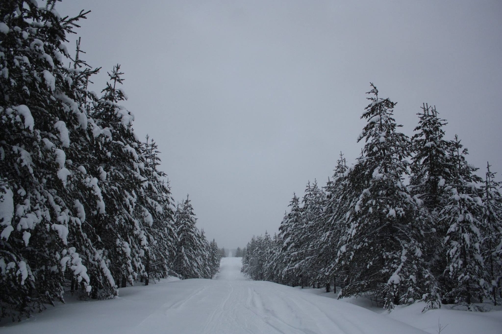 En route pour Toramokivalo le long d’interminables lignes droites 