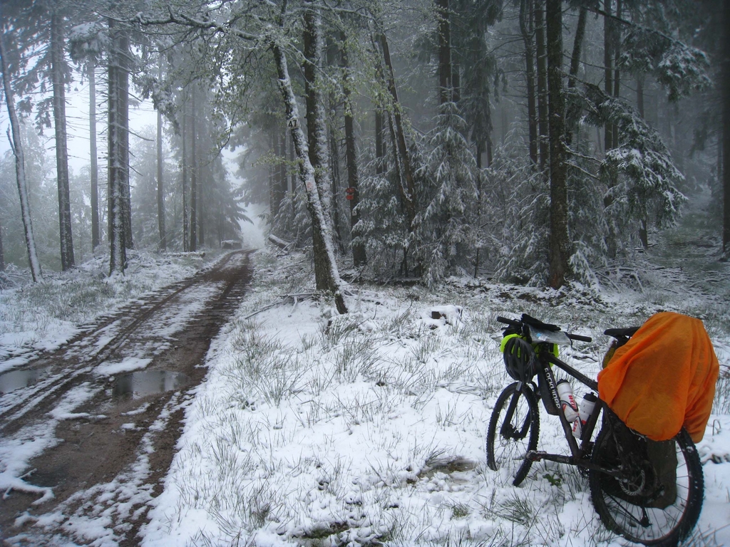 Neige et brouillard