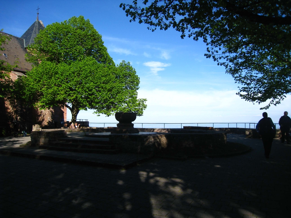 Une placette du Mont Saint Odile