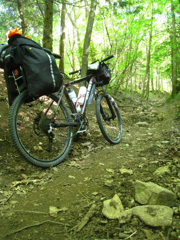 Petit sentier pour monter au Mont Saint Odile