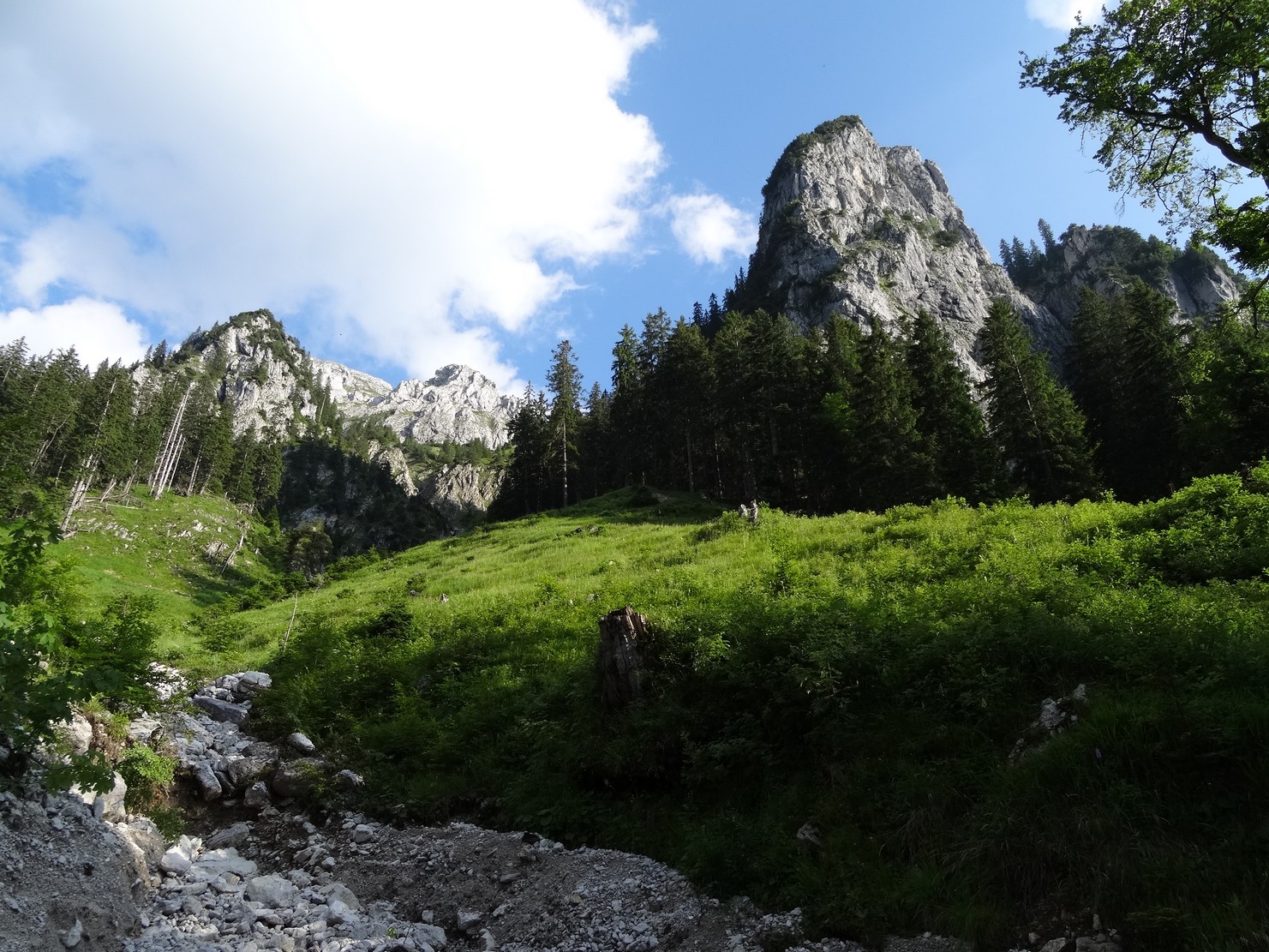 Quelque part au dessus du Neuschwanstein (2)