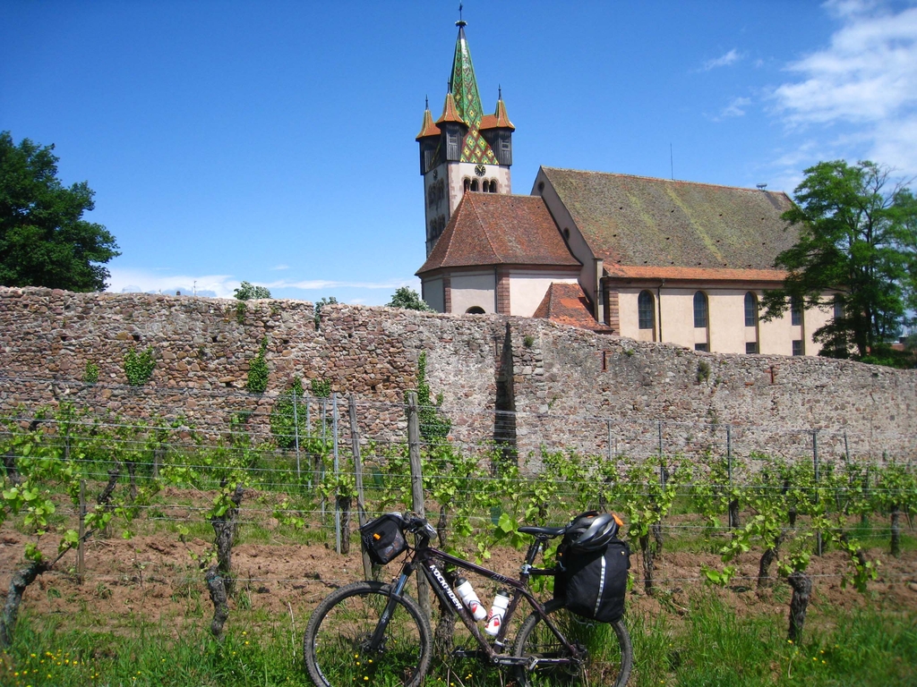 Le vignoble Alsacien