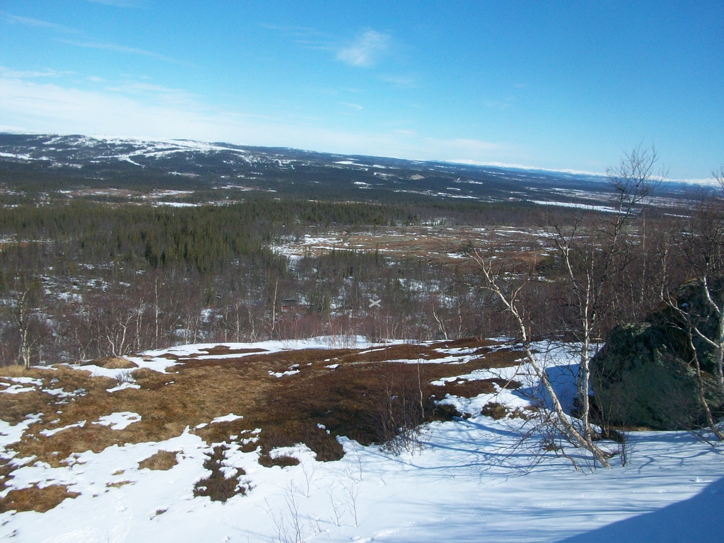 Au pied des monts Getvalen et Stornasen, la forêt de pinèdes s’étale à nos pieds.