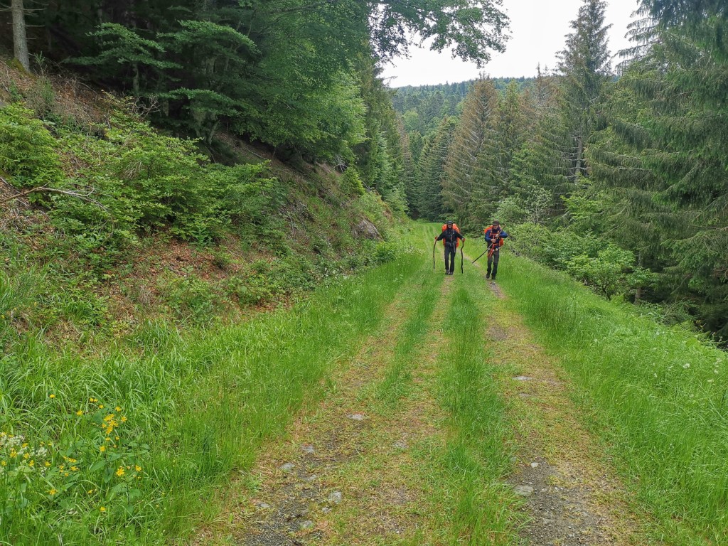 En juin dernier, deux amis et moi-même avons décidé de découvrir l'Auvergne et ses volcans pendant deux jours.