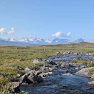 Trek de la #kungsleden dans les montagnes de #suede 🇸🇪
Jour 8 (8/8). Pleine face, c'est le parc national du Sarek !

Cette dernière étape entre #Teusajaure et #Vakkotavare offre un panorama splendide dans le sens Nord-Sud sur ces montagnes. (et inversement dans l'autre sens, sur le massif du Kebnekaise).

Plus loin, le sentier, nous emmènera sur la route qui relie Gallivare à Ritsem. Il est tout à fait possible de poursuivre vers le Sud pour une longue #itinerance. Nous déciderons d'arrêter au pied du Sarek pour d'autres #aventures ! #laponie #laponiesuedoise #sarek #trekking #randonnee #kungsleden #voieroyale