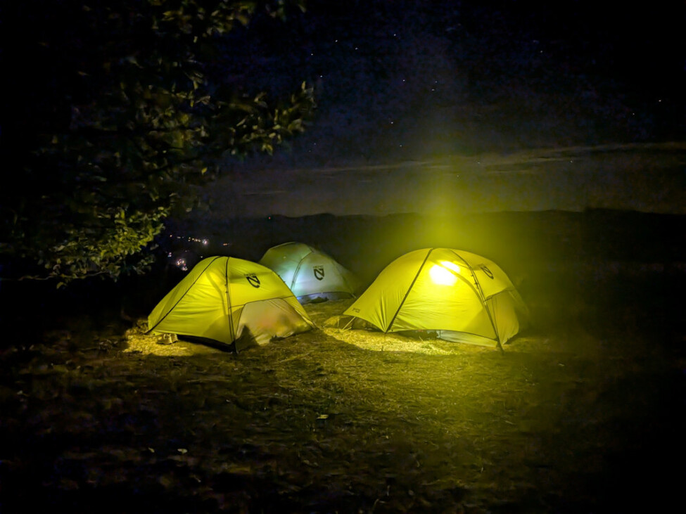 Bivouac : attention aux attaques nocturnes du renard !