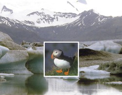 Livres pour préparer un voyage en Islande